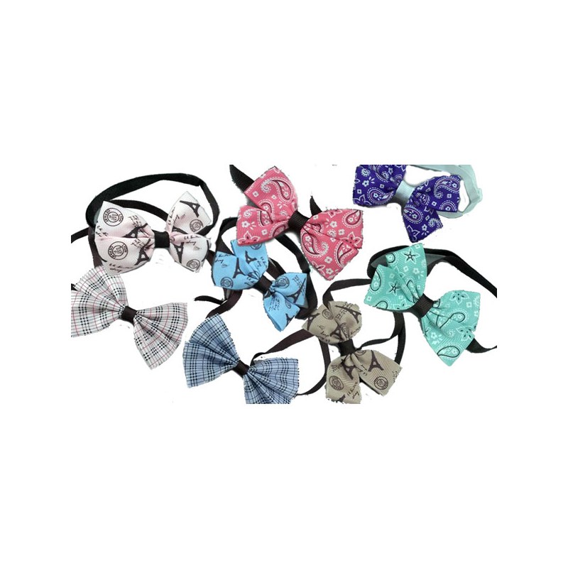Assorted Daily Pattern Bowties