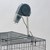 Rovers Edge Buddy Table Dryer Image 1