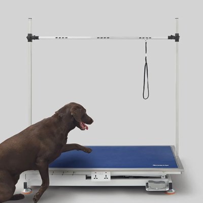 RoversEdge Electric Table 26"X50" with Overhead Grooming Arm Image 1 RoversEdge Electric Table 26"X50" with Overhead Grooming Arm Image 1