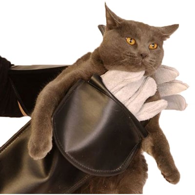 Small Animal Handling Gloves