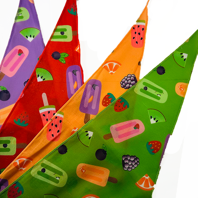 Cozymo Assorted Bandanas - Popsicles