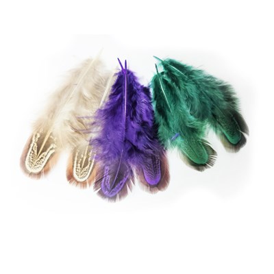 Assorted Feathers - Short - 100 Pcs