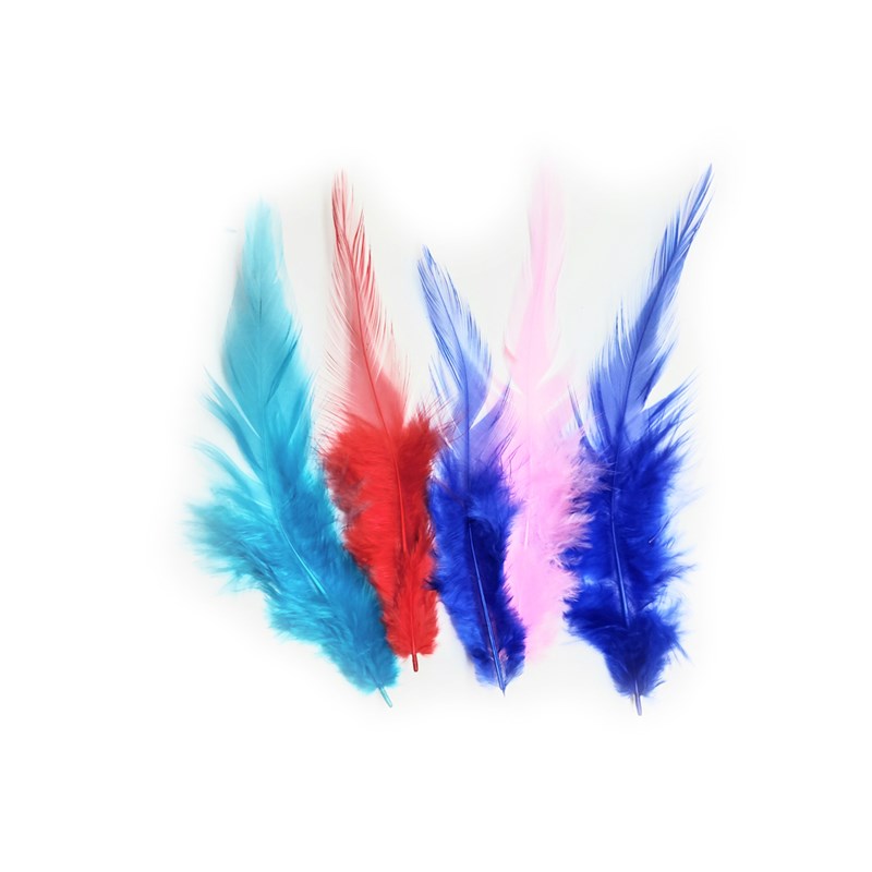 Assorted Feathers - Long - 100 Pcs