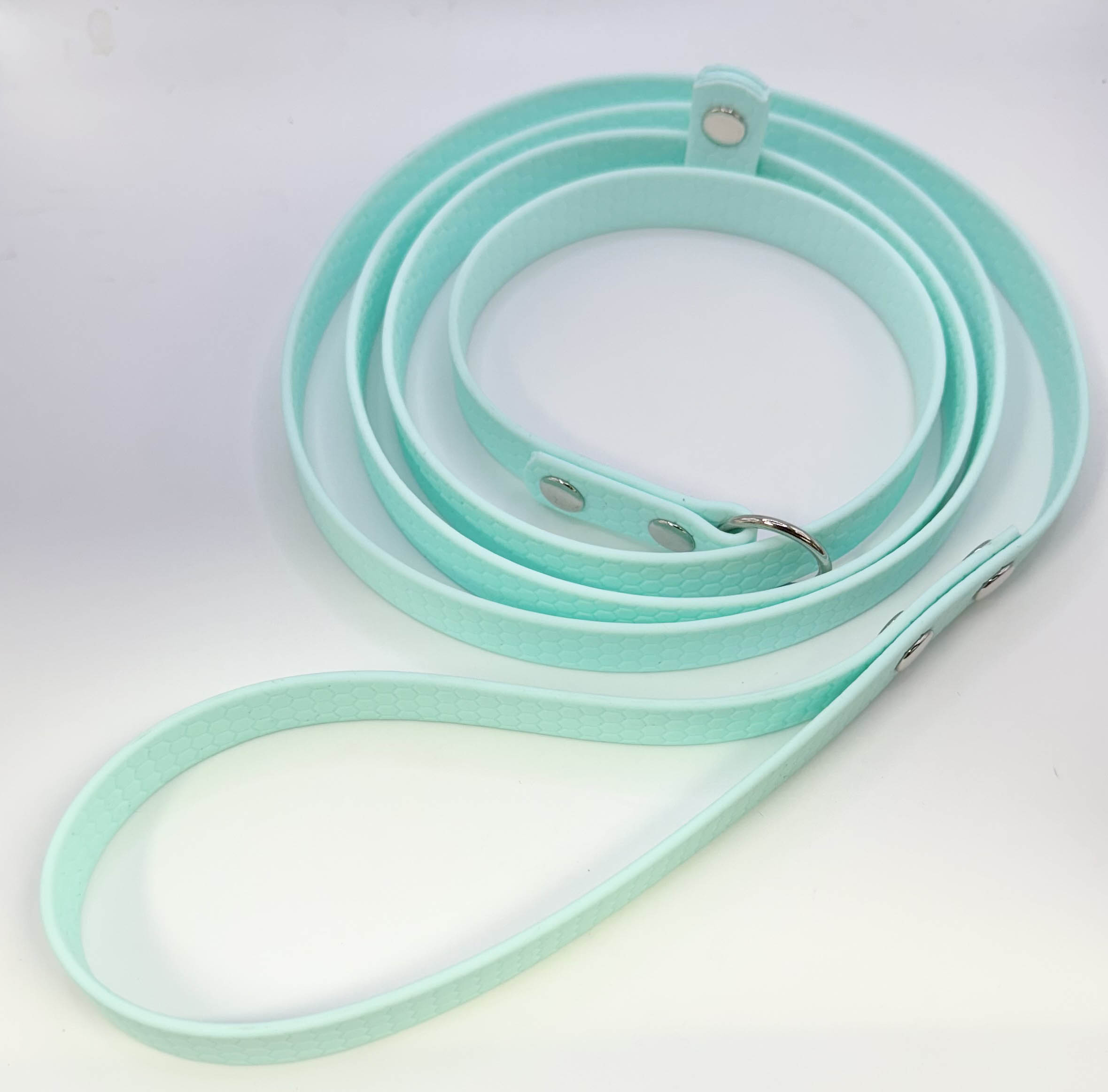 Xylo 5 ft Slip Lead (XYLO58LEAD): Leads | Deboer Grooming Supplies - Pet Grooming Leads For Mobile Groomers